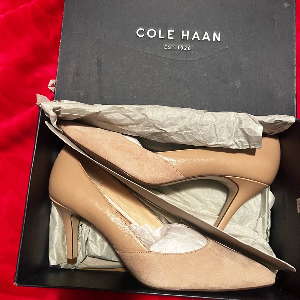Cole Haan Tan Heels Classic Pointed-Toe Pumps